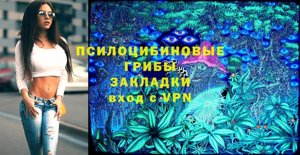 apvp Беломорск