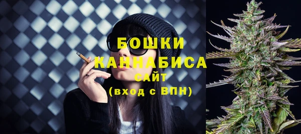 соль ск Белокуриха